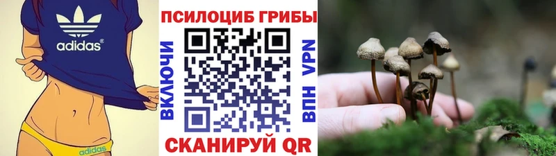 Псилоцибиновые грибы ЛСД  mega   Красково 